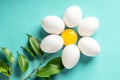 Chamomile Daisy from egg and yolk leave Easter spring concept Royalty Free Stock Photo