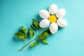 Chamomile Daisy from egg and yolk leave Easter spring concept Royalty Free Stock Photo