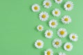 Chamomile daisy flowers on green background. Summer, spring Flat lay Royalty Free Stock Photo