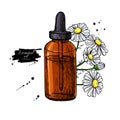 Chamomile essential oil bottle and bunch of flowers hand drawn v Royalty Free Stock Photo