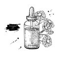 Chamomile essential oil bottle and bunch of flowers hand drawn vector illustration. Isolated drawing for Aromatherapy Royalty Free Stock Photo