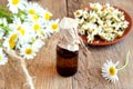 Chamomile essential oil Royalty Free Stock Photo