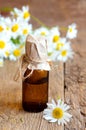 Chamomile essential oil Royalty Free Stock Photo