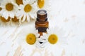 Chamomile essential oil