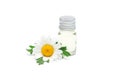 Chamomile essential oil in glass bottle with fresh flowers on background, isolated