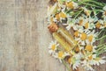 Chamomile extract in a small bottle. Royalty Free Stock Photo