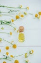 Chamomile extract in a small bottle. Royalty Free Stock Photo