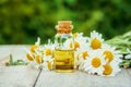 Chamomile extract in a small bottle. Royalty Free Stock Photo