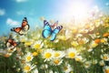 Chamomile field with daisies and butterfly. Nature blurred background. selective focus