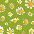 Chamomile field flowers on green background pattern with beautiful floral ornament vector illustration. Camomile flowers