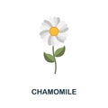 Chamomile flat icon. Colored element sign from flowers collection. Flat Chamomile icon sign for web design, infographics