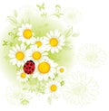 Chamomile floral background