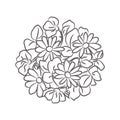 Chamomile floral rosette vector isolated composition.