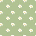 Chamomile floral seamless pattern on green background