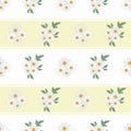 Chamomile floral seamless vector pattern background. Groups of flower heads of ancient medicinal herb on striped yellow Royalty Free Stock Photo