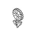 chamomile flower aromatherapy isometric icon vector illustration Royalty Free Stock Photo