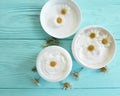 Chamomile flower, cosmetic extract protection treatment sample skin cream product on a blue wooden background Royalty Free Stock Photo