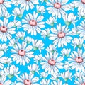 Chamomile flower hand drawing seamless pattern, vector floral background, floral embroidery ornament. Drawn buds white Royalty Free Stock Photo