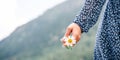 Chamomile flower. Happy girl in spring dress holding chamomile flower. Summer camomile, white daisy in woman hand. Young