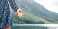 Chamomile flower. Happy girl in spring dress holding chamomile flower. Summer camomile, white daisy in woman hand. Young Royalty Free Stock Photo