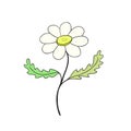 Chamomile flower icon. Hand drawn print. Sticker vector design. Floral interior poster.