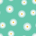 Chamomile flower icon seamless pattern background. Business concept vector illustration. Daisy camomile symbol pattern.