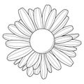 Chamomile flower. Outline black silhouette. Isolated on white background. Vector illustration Royalty Free Stock Photo
