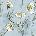 Chamomile flower vector seamlees pattern