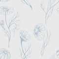 Chamomile flower vector seamlees pattern