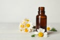 Chamomile flowers and cosmetic bottle of essential oil on wooden table against light background