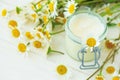 Chamomile flowers and cosmetic bottles of essential oil and extract on white wooden background. Flat lay. Top view. Copy space Royalty Free Stock Photo