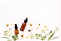 Chamomile flowers and cosmetic bottles of essential oil on white background, top view Royalty Free Stock Photo