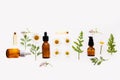 Chamomile flowers and cosmetic bottles of essential oil on white background, top view.concept of natural cosmetics Royalty Free Stock Photo