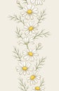 Chamomile flowers seamless border, line art drawing. Daisy wild flowers in gentle pastel colors. Floral vector design template