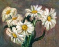 Chamomile flowers