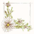 Chamomile frame