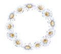 Chamomile frame, ring, Daisies flowers, top view. Template. Watercolor