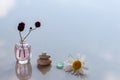 Chamomile, glass, pyramid of three stones and bottles with liquid and a sprig are on the surface with reflections.