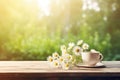 Chamomile herbal tea with flower buds nearby on wooden table and camomile bouquet, closeup, copy space, healthy herbal