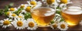 Chamomile Herbal Tea in Glass Cups with Fresh Daisy Flowers Royalty Free Stock Photo