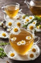 Chamomile Herbal Tea in Glass Cups with Fresh Daisy Flowers Royalty Free Stock Photo