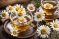 Chamomile Herbal Tea in Glass Cups with Fresh Daisy Flowers Royalty Free Stock Photo