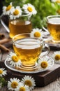 Chamomile Herbal Tea in Glass Cups with Fresh Daisy Flowers Royalty Free Stock Photo