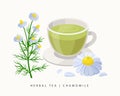 Chamomile herbal tea isolated on white background. Camomile Flowering Plant vector botanical illustration.