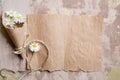 Chamomile herbarium composition on a craft paper Royalty Free Stock Photo