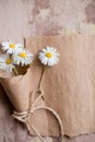 Chamomile herbarium composition on a craft paper Royalty Free Stock Photo