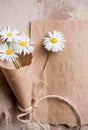 Chamomile herbarium composition on a craft paper Royalty Free Stock Photo