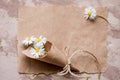 Chamomile herbarium composition on a craft paper Royalty Free Stock Photo