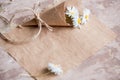 Chamomile herbarium composition on a craft paper Royalty Free Stock Photo