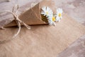 Chamomile herbarium composition on a craft paper Royalty Free Stock Photo